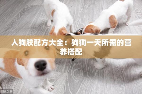 人狗胶配方大全：狗狗一天所需的营养搭配