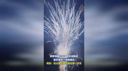 回家路被拦住了网友绕路走，意外看到了绝美烟花，网友：这么美的烟花我也第一次见