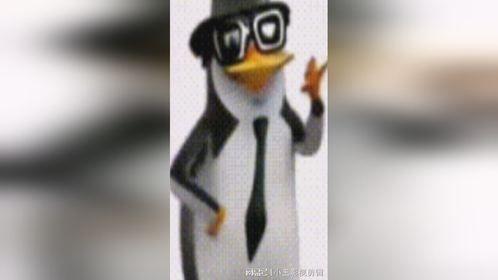 温州不大创造神话，温州又出新专辑了