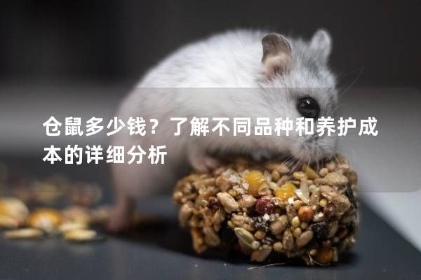 仓鼠多少钱?了解不同品种和养护成本的详细分析
