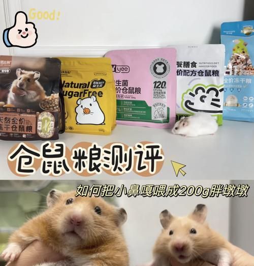 仓鼠粮能否安全替代猫粮？