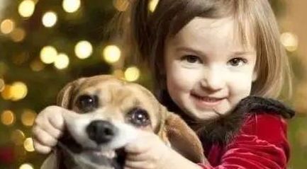 宠物狗爱发脾气怎么回事