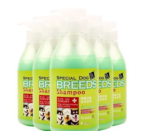 怎么才能选到合适的宠物用品？这几款我不希望你错过！