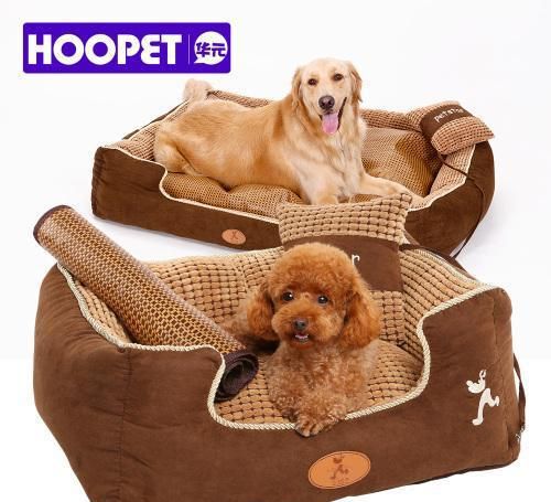 怎么才能选到合适的宠物用品？这几款我不希望你错过！