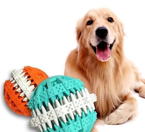 怎么才能选到合适的宠物用品？这几款我不希望你错过！