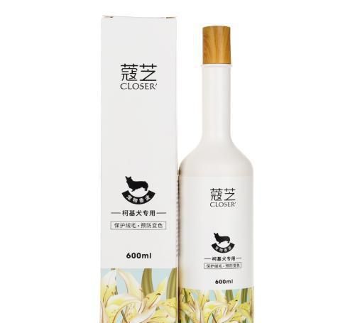 怎么才能选到合适的宠物用品？这几款我不希望你错过！