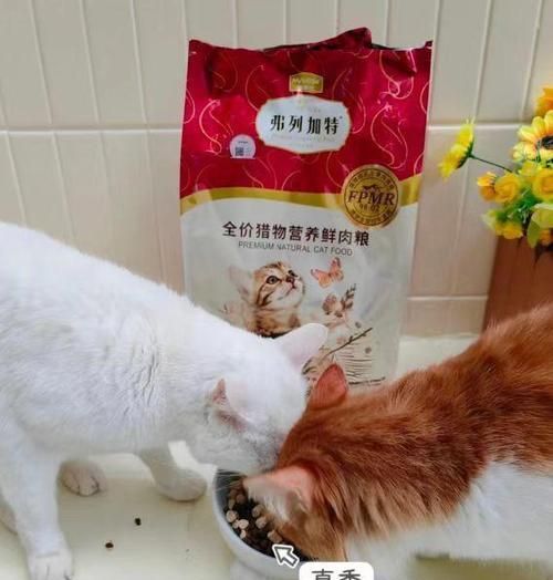 猫为何不宜吃肉粉粮？