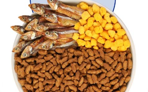 帕蓝姆猫粮测评：满足猫咪挑剔味蕾的优质选择