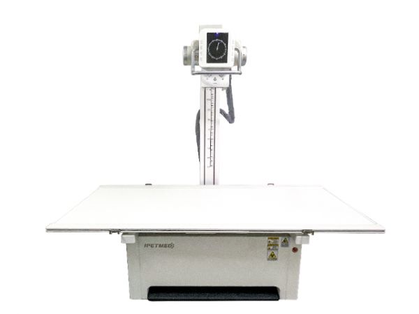 青海乌龟宠物DR市场价,宠物DR