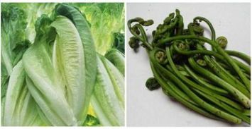 仓鼠能吃蔬菜叶子吗？