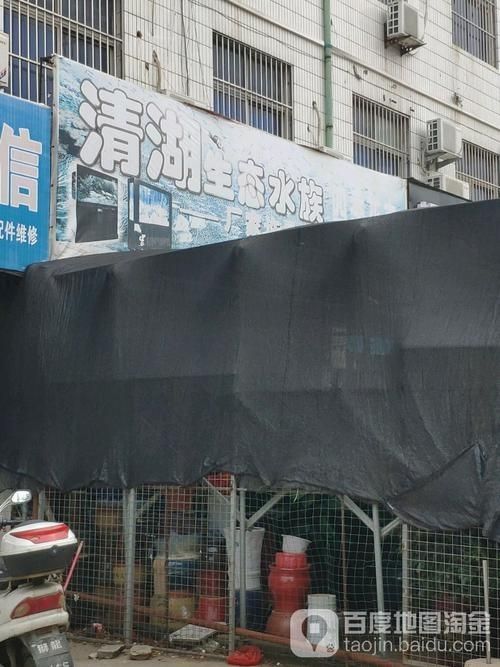 许昌水族批发市场（许昌水族批发市场和祥龙鱼场的分析来啦，我帮你梳理了核心信息和图文资料）