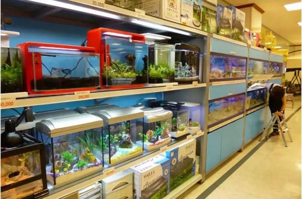 许昌水族批发市场（许昌水族批发市场和祥龙鱼场的分析来啦，我帮你梳理了核心信息和图文资料）