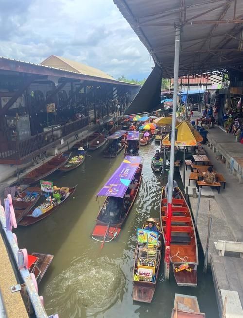 许昌水族批发市场（许昌水族批发市场和祥龙鱼场的分析来啦，我帮你梳理了核心信息和图文资料）