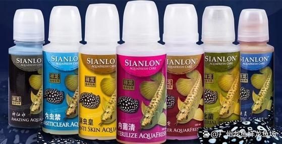 许昌水族批发市场（许昌水族批发市场和祥龙鱼场的分析来啦，我帮你梳理了核心信息和图文资料）