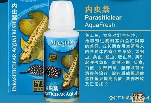 许昌水族批发市场（许昌水族批发市场和祥龙鱼场的分析来啦，我帮你梳理了核心信息和图文资料）