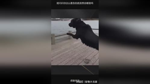 能问问你这么着急到底是想去哪里吗