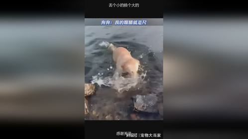 丢个小的换个大的