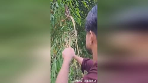 你敢打我？你吹牛吧，我让你牢底坐穿信不信？