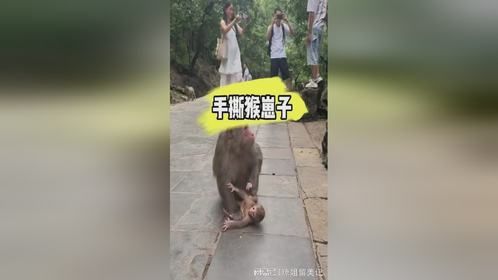 母猴：给大家表演个手撕亲儿子，给大家助助兴，一会都给点吃的