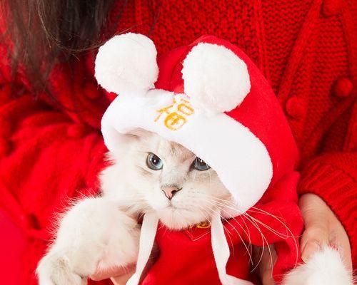 猫咪生病后能自愈吗？哪些常见病症可以自行好转？