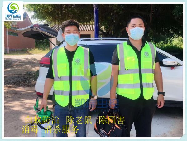 肇庆端州区果蝇防治公司