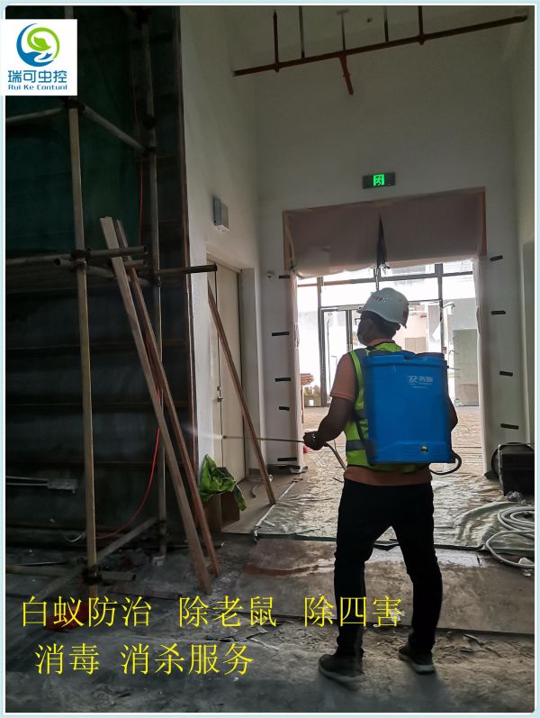 肇庆端州区果蝇防治公司