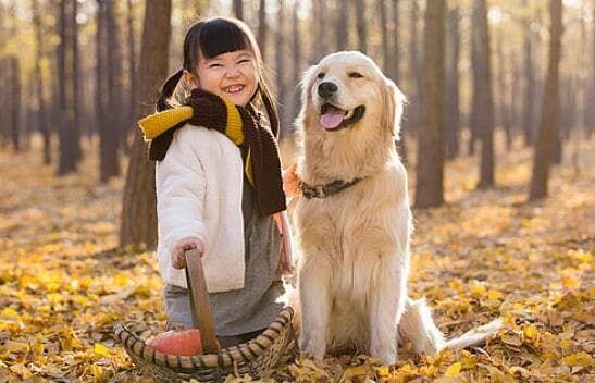 亳州宠物托运_高铁宠物托运试点范围_宠物进客舱服务升级