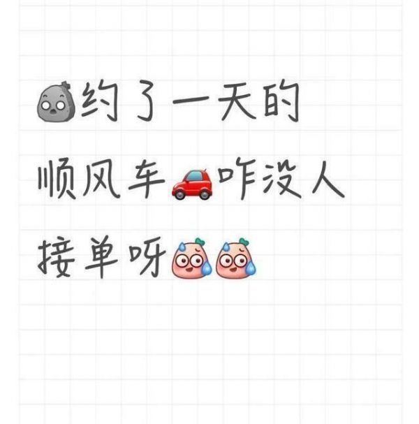 女子携宠遭顺风车司机索两倍车费