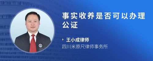 事实收养是否可以办理公证