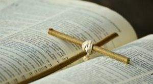 福州警方缴获97只冰冻的国家二级保护动物穿山甲