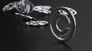 广东翁源警方查获国家重点保护动物野生白鹇