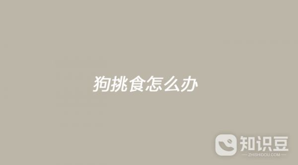 狗挑食怎么办 狗挑食怎么解决