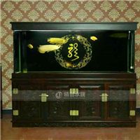 网友昵称：天津龙鱼批发市场