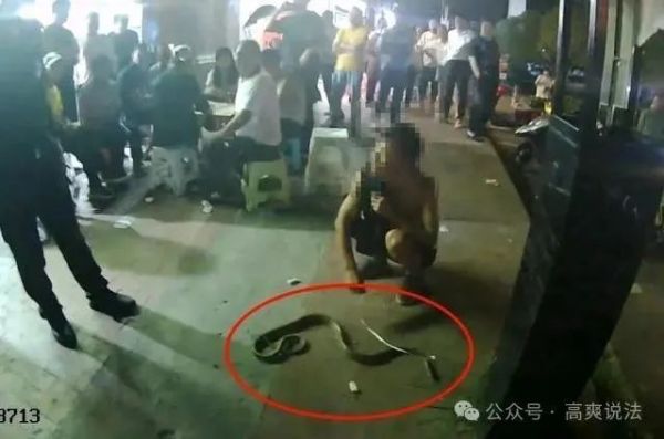 当街"遛蛇"吓坏众人，违法！