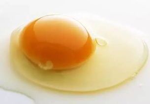 蛋黄营养，宠物皮肤病食疗良方