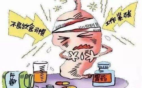 应对宠物慢性脑炎：影响与治疗策略