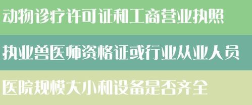 潍坊宠物医院哪家口碑好？专业治疗宠物疾病，你选对了吗？