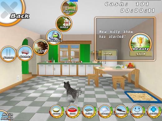 101小猫宠物图片