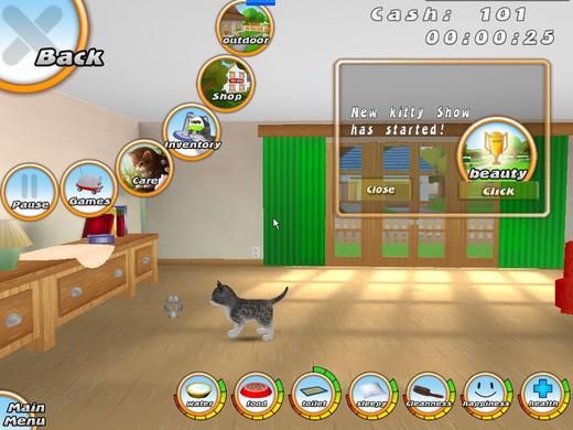 101小猫宠物图片