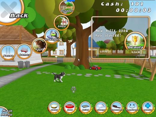 101小猫宠物图片