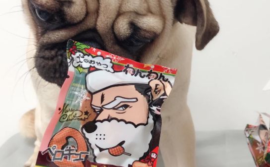 狗狗零食推荐：日和优宠喜利汪汪棒棒糖