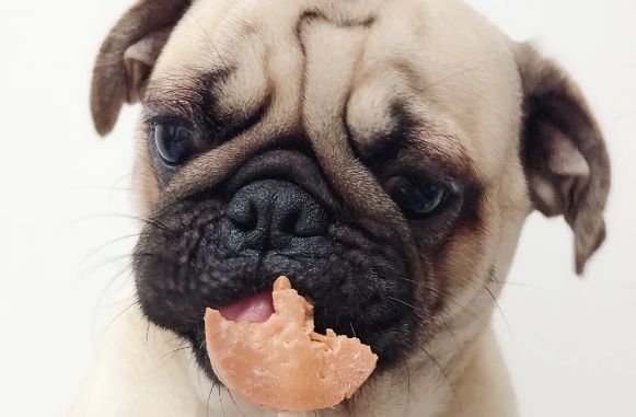 狗狗零食推荐：日和优宠喜利汪汪棒棒糖