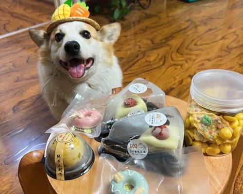 宠物狗狗可以吃几个蛋黄（营养需求和狗狗体型对蛋黄摄入量的影响）