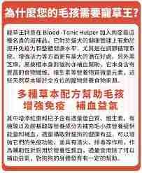 中草药宠粮如何进补