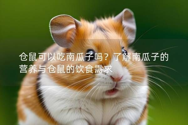 仓鼠可以吃南瓜子吗？了解南瓜子的营养与仓鼠的饮食需求