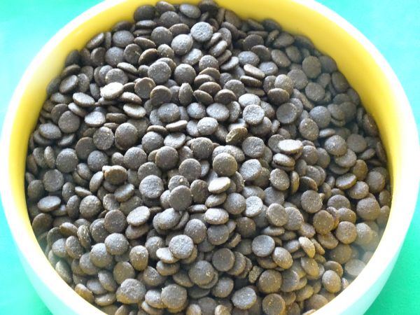 营养滋补无谷天然犬粮