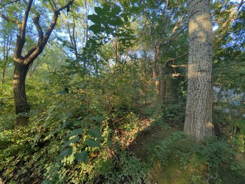 03-4 鸟巢廊架 (2).jpg