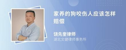 家养的狗咬伤人应该怎样赔偿