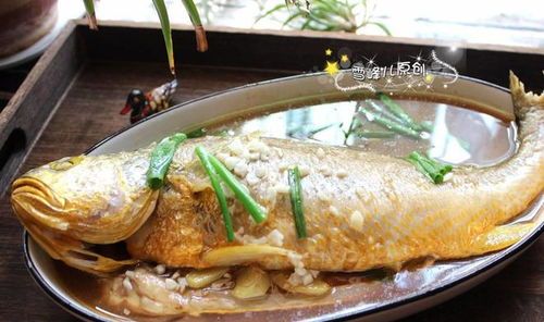 冬季养护秘籍:曼龙鱼的温暖过冬指南