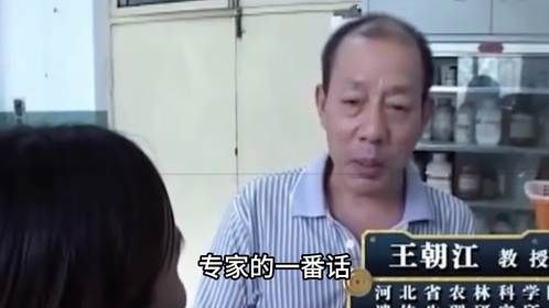 男子意外捡到一团“怪肉”， 拿回家后竟疯狂生长，还能下崽